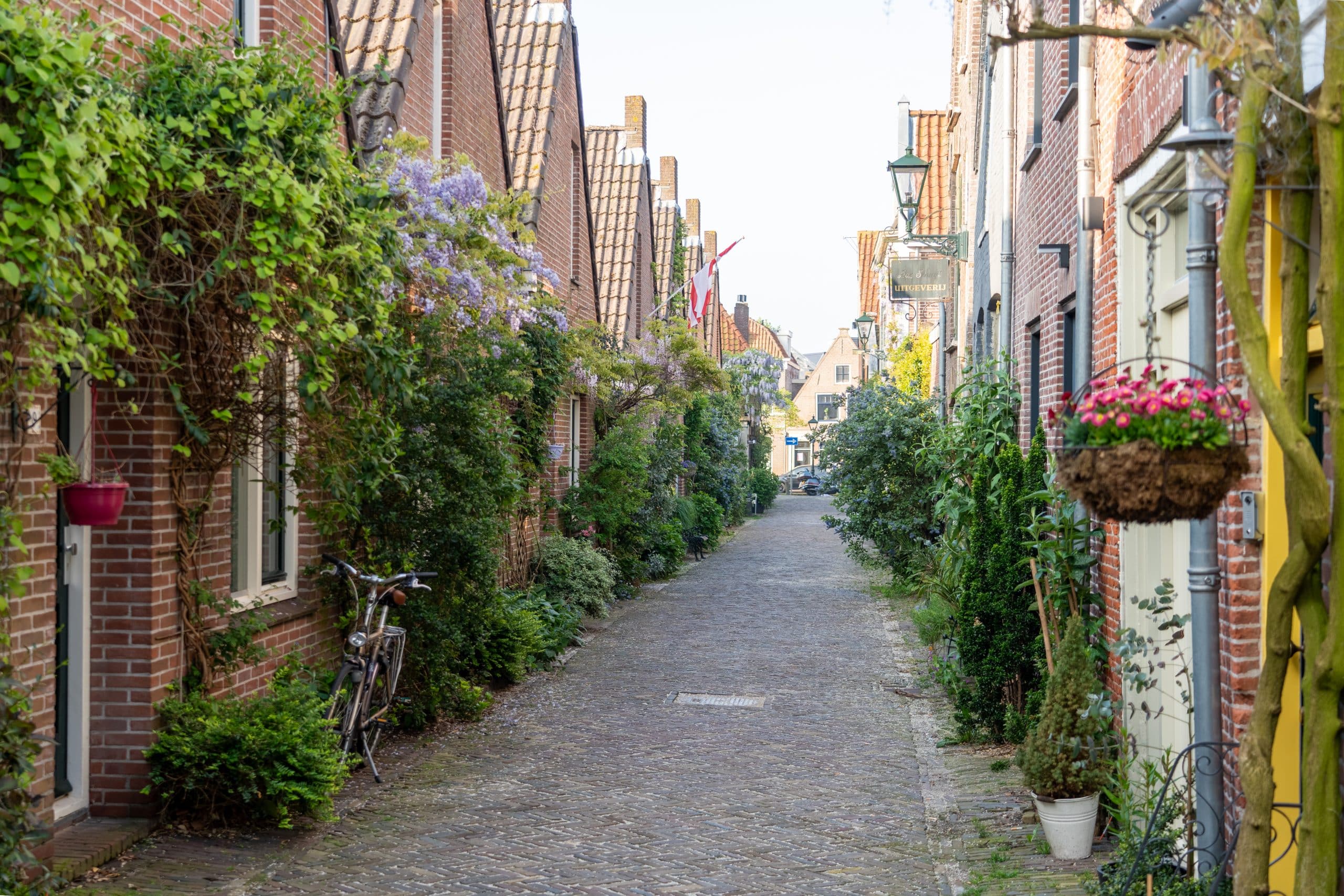 Een smalle straat met huizen en veel groene geveltuinen en planten