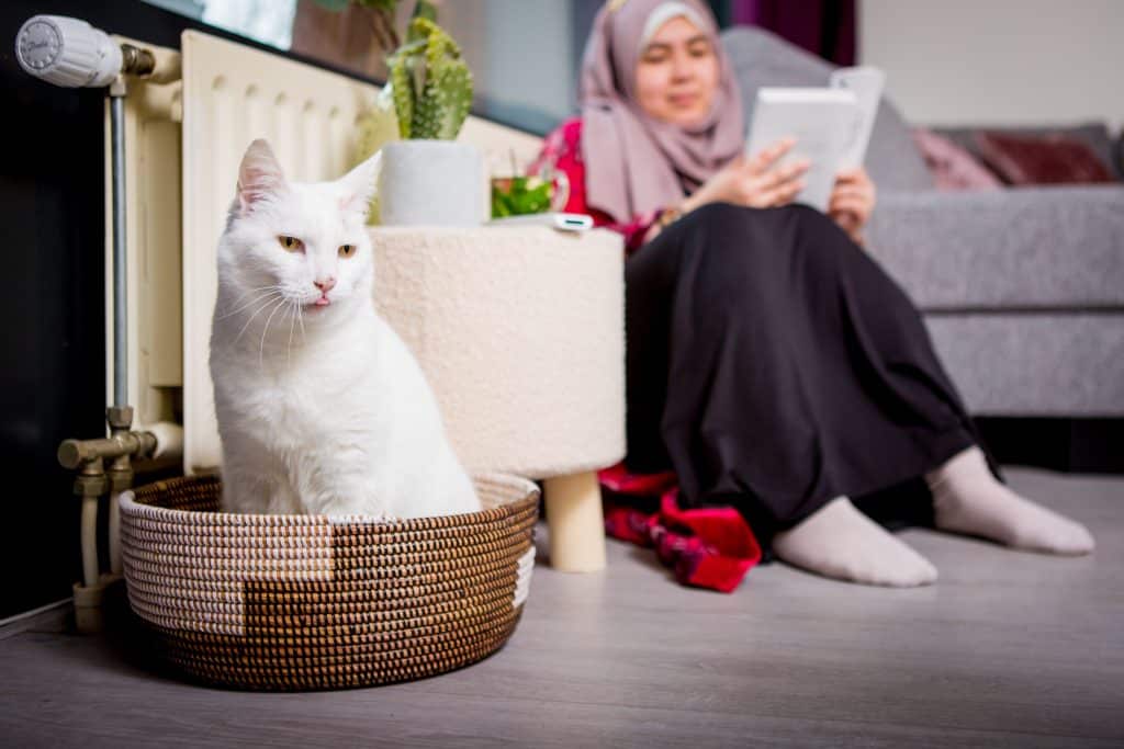 Vrouw zit op de warme vloer en bij warme radiator, leest een boek, op de voorgrond een witte kat in een mandje