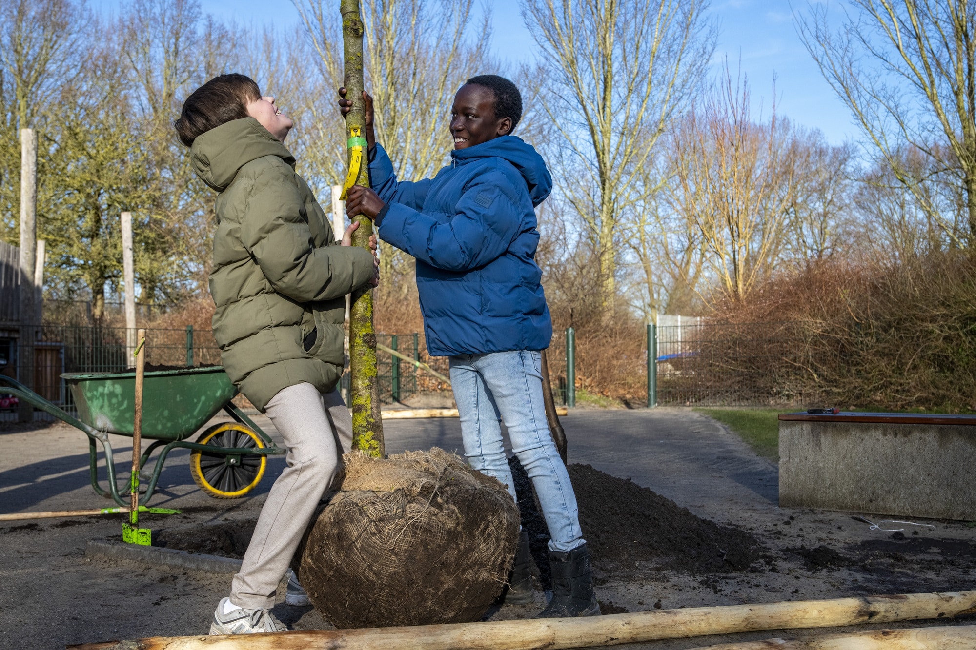 Twee kinderen tillen een boom op die geplant moet worden op hun schoolplein.
